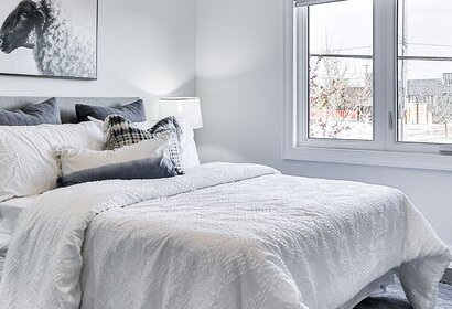 Welke insecticiden moeten worden gebruikt tegen bedwantsen?