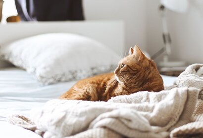 Op welke manier moet je je bed plaatsen?