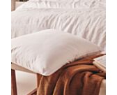 Hoofdkussen Pilodor - 60x60 cm