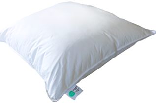 Oreiller sensation duvet 