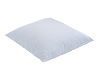 Hoofdkussen Plumes Rayées - 60x60 cm