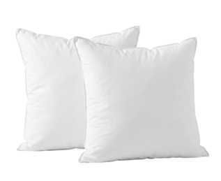 Traagschuimkussen 60 x 60 cm 
Gemaakt in Frankrijk 
kussenset 